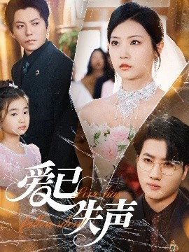 91pro视频《爱已失声》免费在线观看