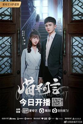 91pro视频《喵不可言》免费在线观看