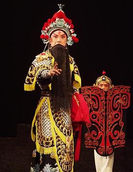 91pro视频《袁崇焕2009》免费在线观看