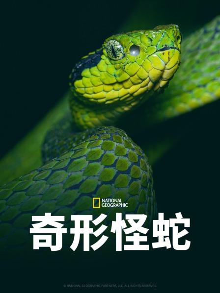 91pro视频《奇形怪蛇》免费在线观看